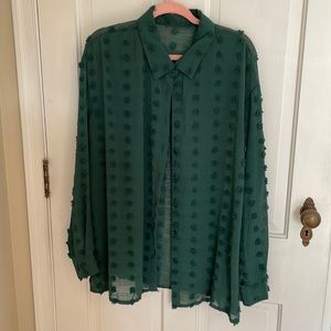 EUC fun, funky, sheer and detailed evergreen blouse; bought from Amazon; Size 2X